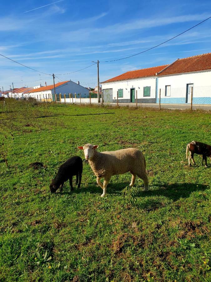 Casa Do Avô Tó * Reguengos de Monsaraz